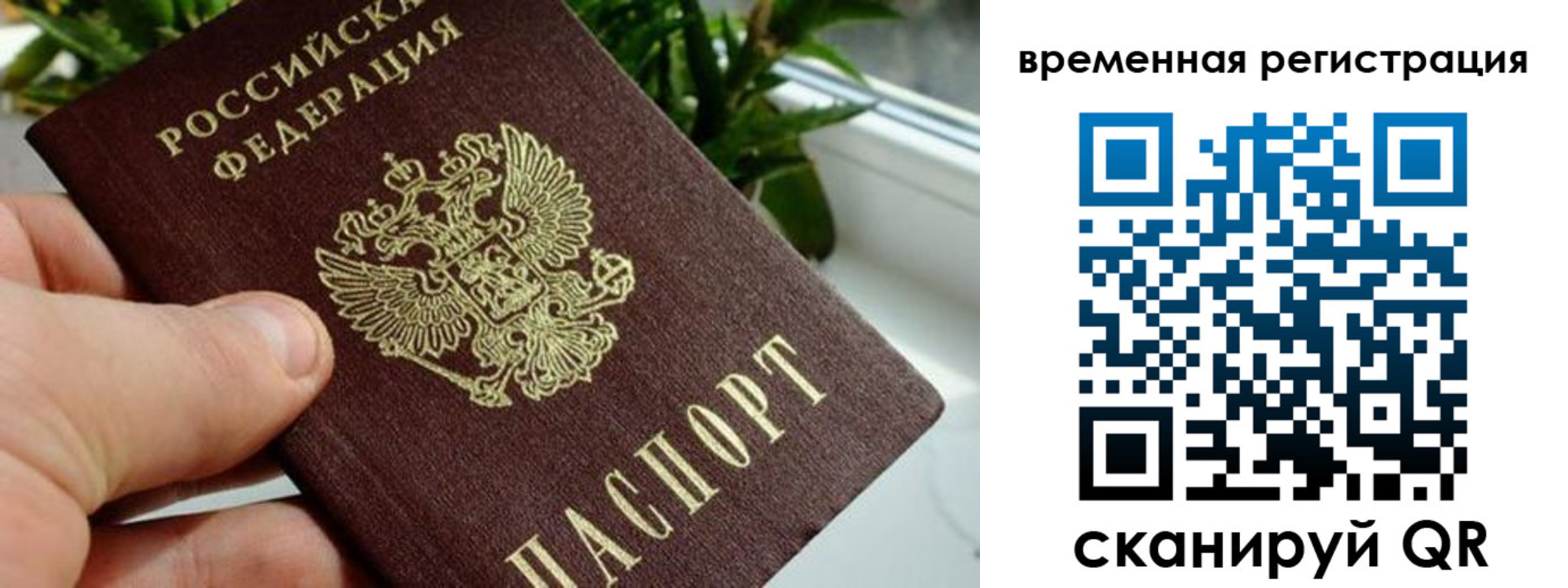 прописка поиск в Жукове